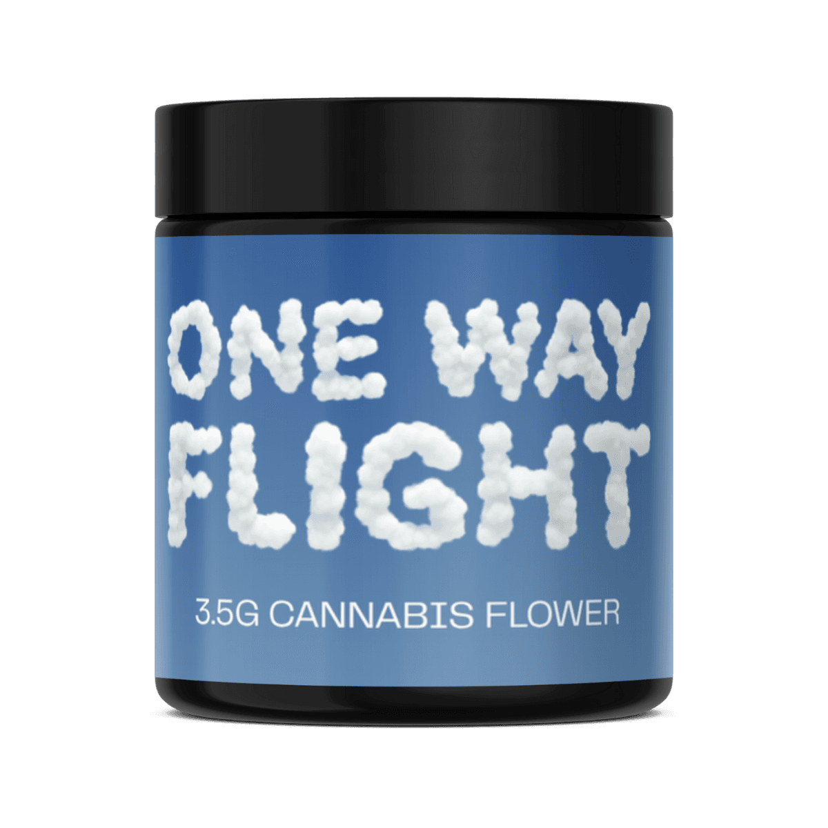 ONE WAY FLIGHT product photo